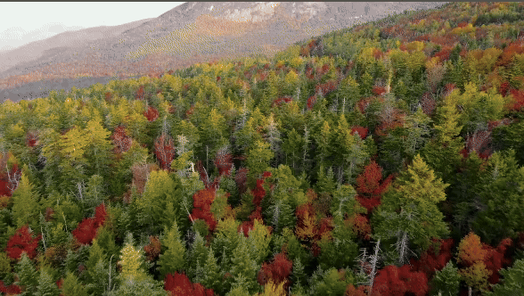 ../../../_images/composition-wipe_method-none_dissolve.gif