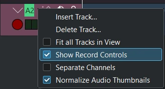 ../../_images/kdenlive2405_show-record-controls.webp